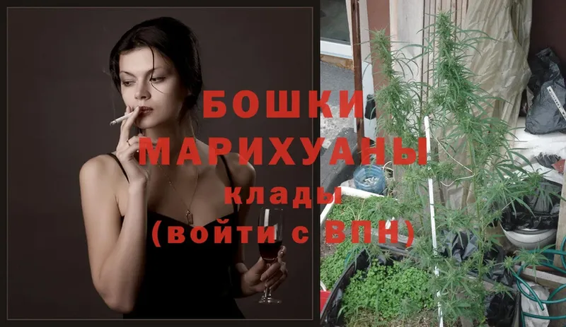 Бошки марихуана LSD WEED  магазин  наркотиков  Вязники 